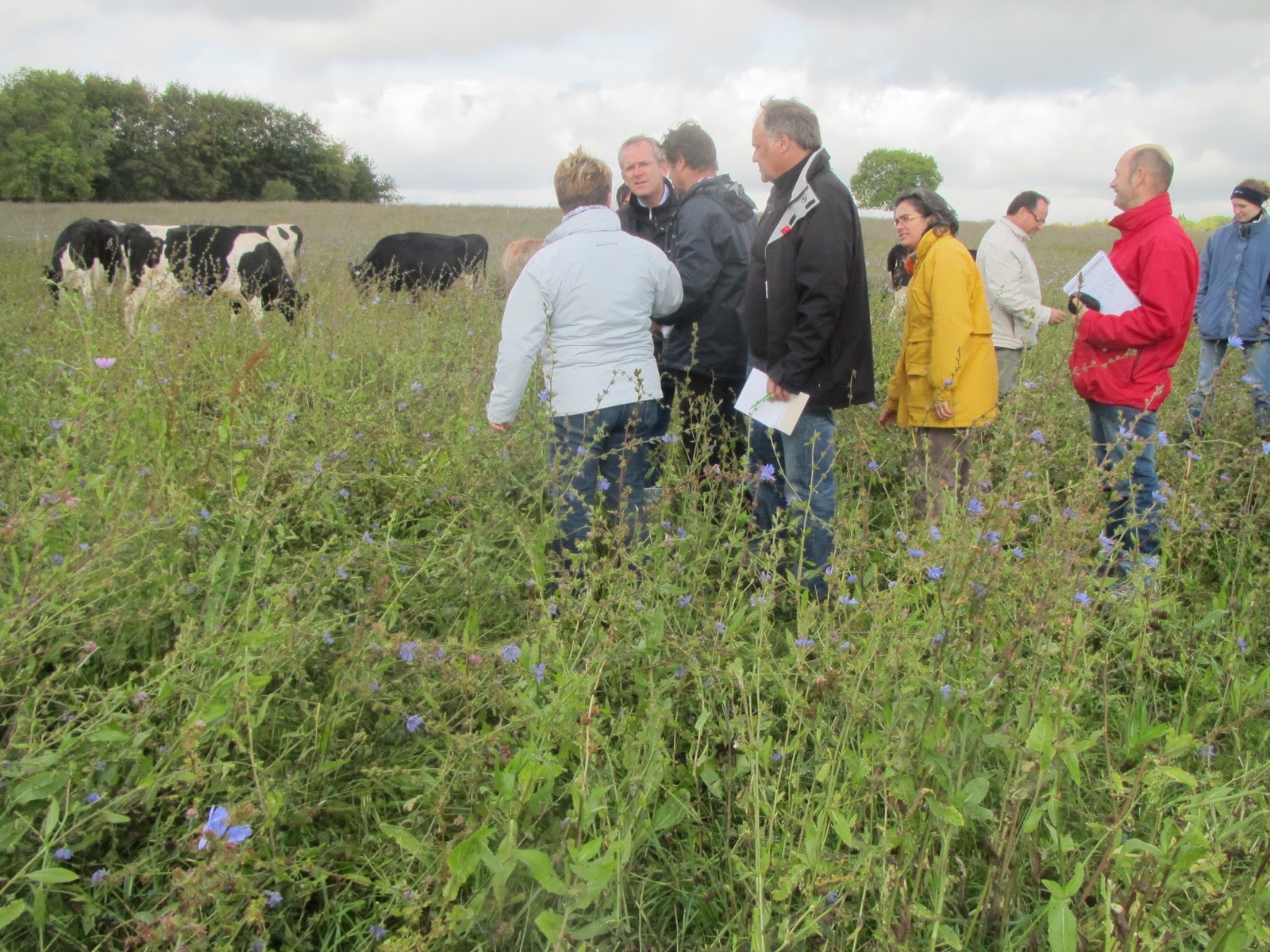 Regenerative Agriculture Discussion Group