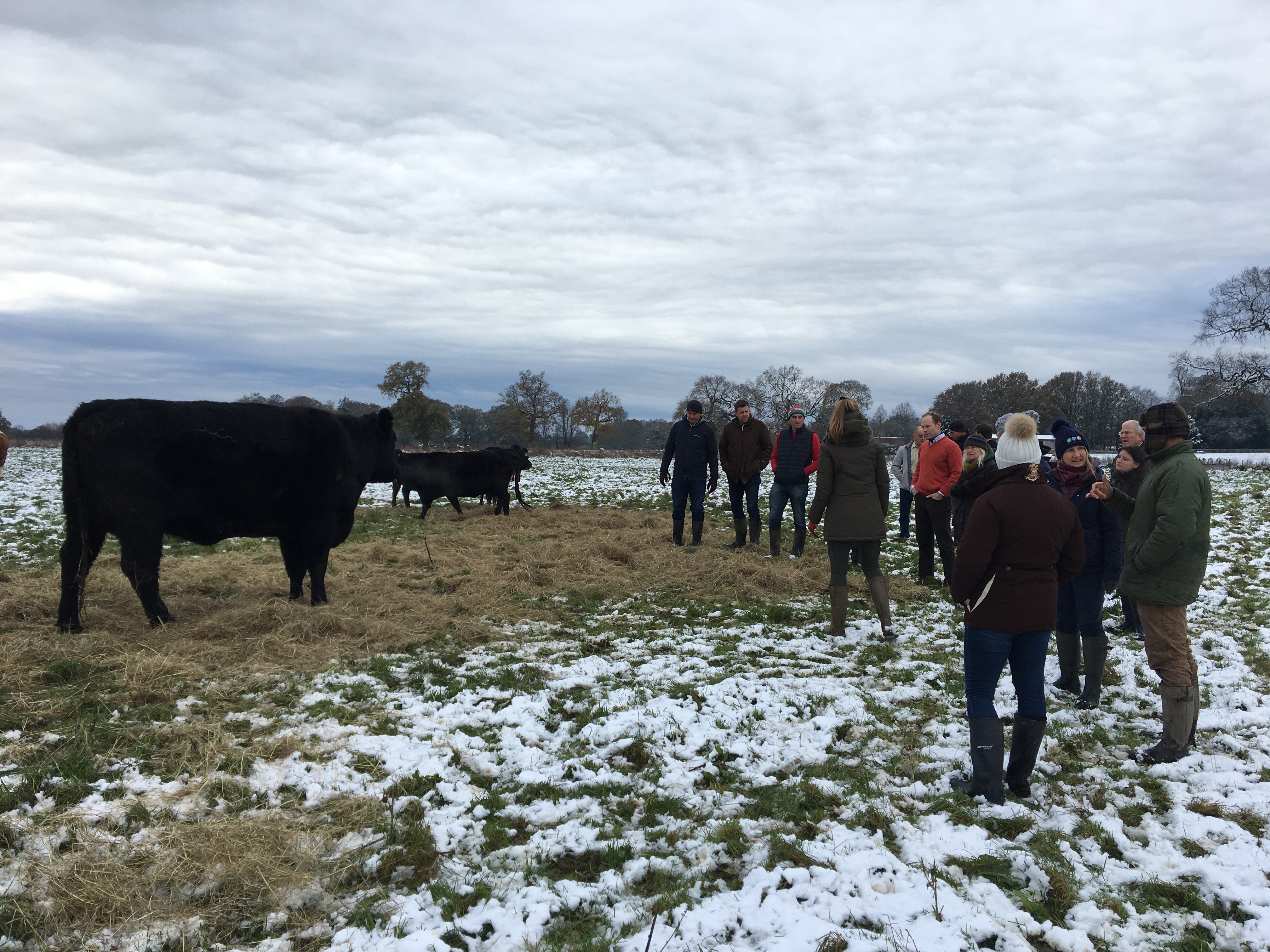 Regenerative Agriculture Discussion Group Update