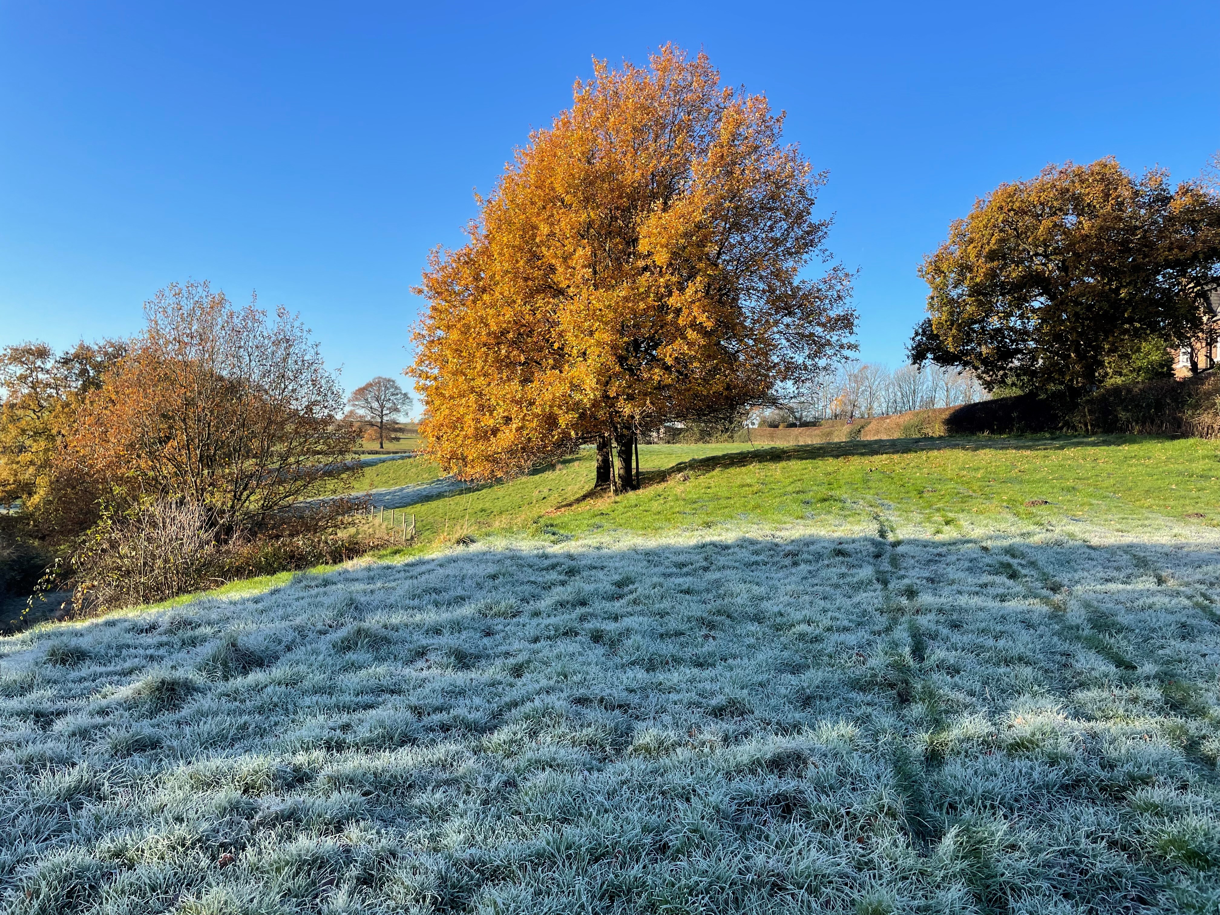 Countryside Stewardship Key Dates