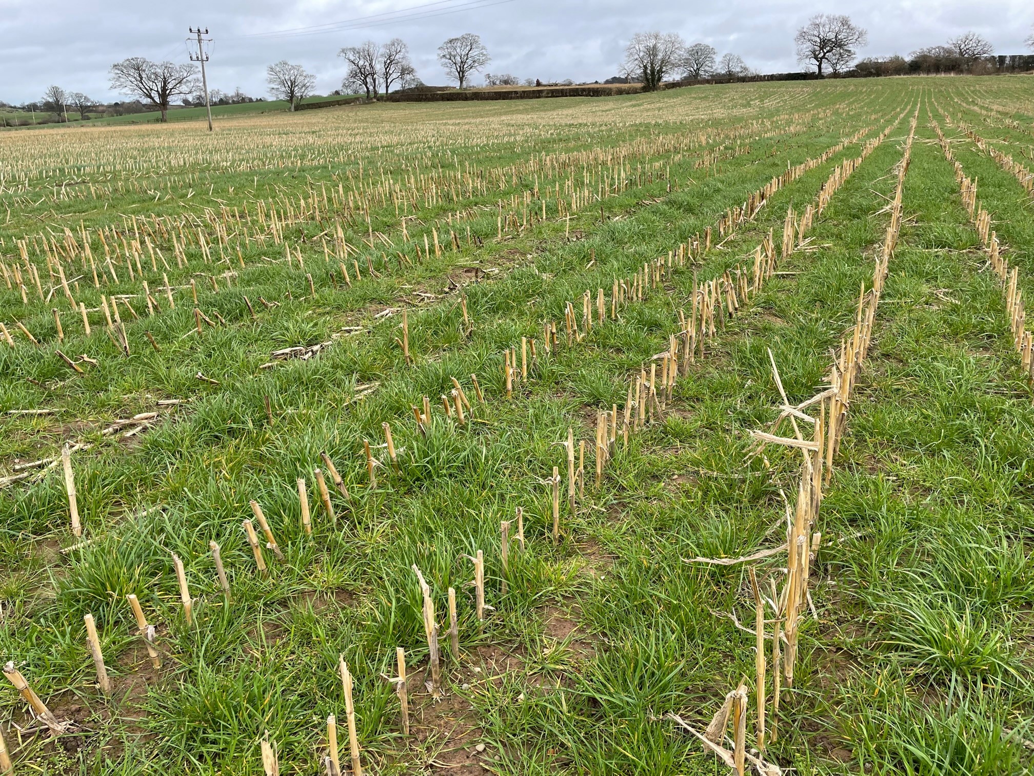 New Sustainable Farming Standards
