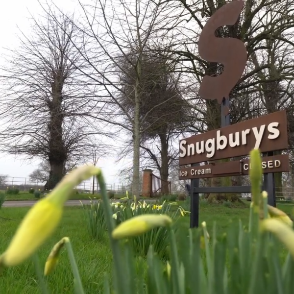 Snugbury’s Tree Planting Case Study