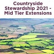 Extension for 2021 Countryside Stewardship Mid-Tier (CS MT) agreements – reminder !