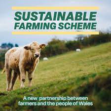 Wales Sustainable Farm Scheme (SFS)