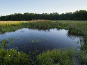 Funding for Ponds