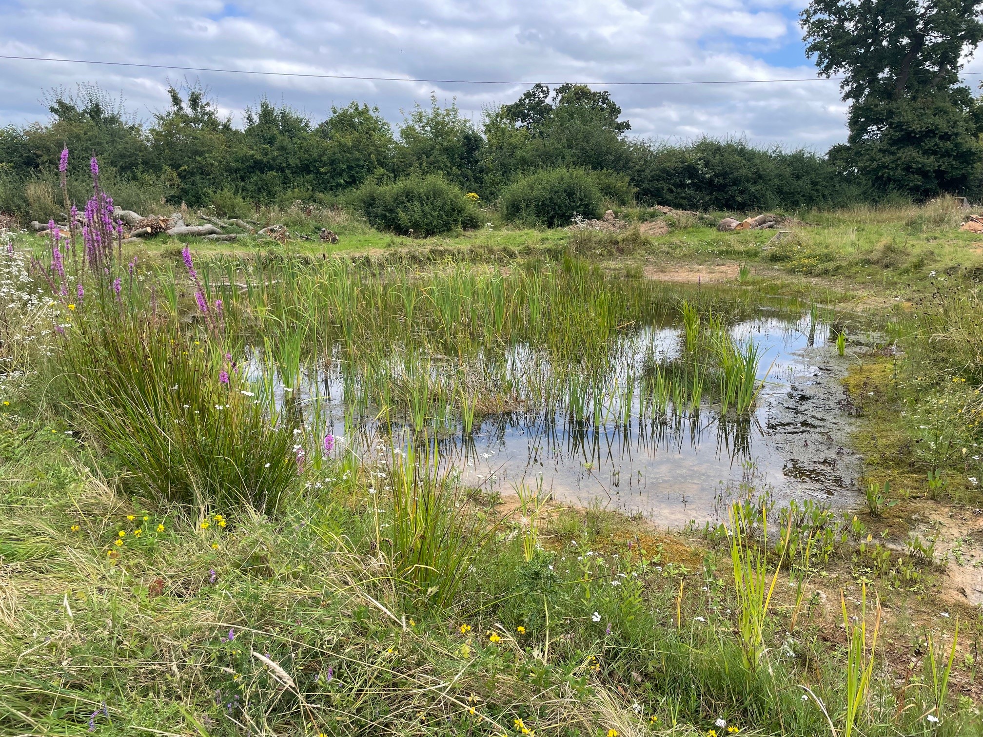 New Ponds in Cheshire East