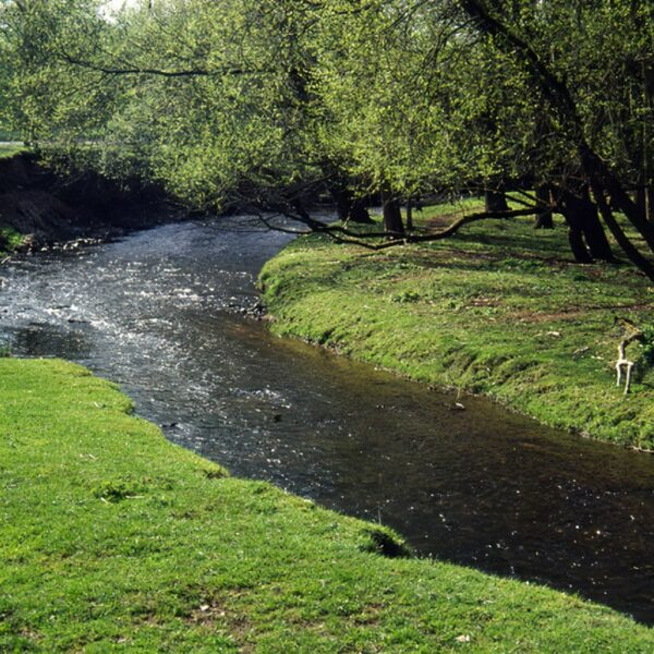 Trees for Climate Season Open for 2025-26