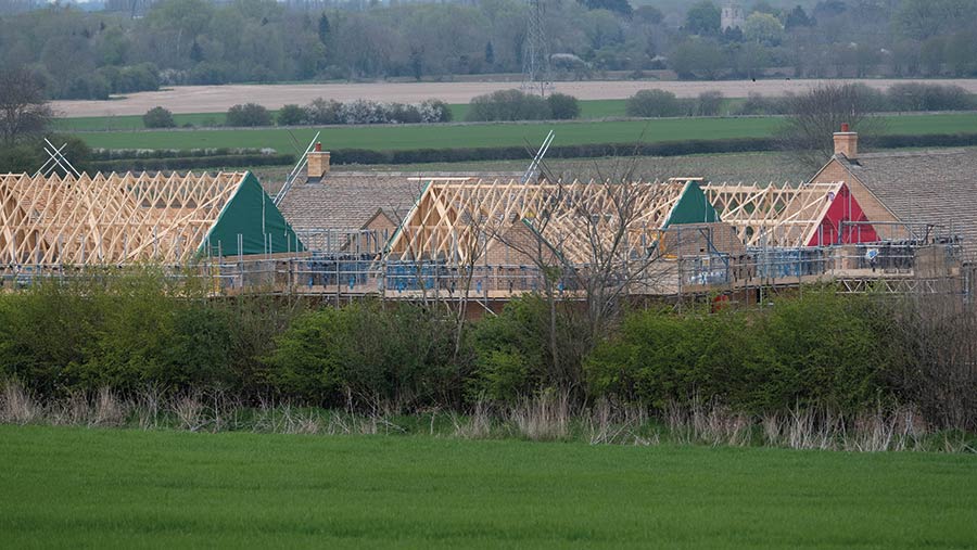 Planning & Biodiversity Net Gain – We can help