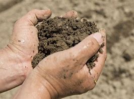 SFI Soil Plan & Nutrient Review