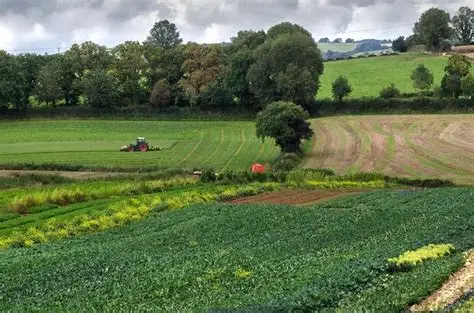 Sustainable Farm Incentive (SFI) 2026                Key Dates & Scheme Changes