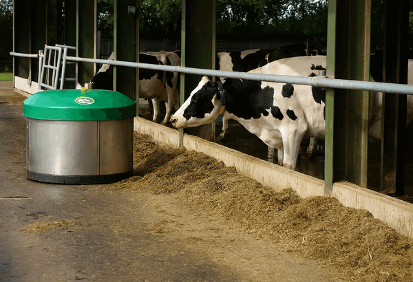 FETF To Open March 17th